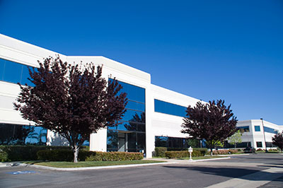 business insurance